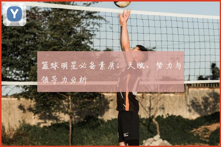 篮球明星必备素质：天赋、努力与领导力分析