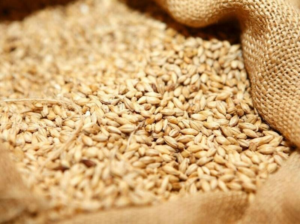 Pakistan Wheat Import Scam